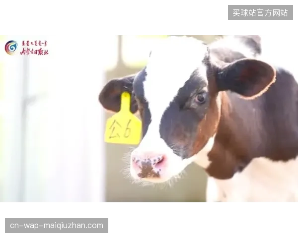 蒙牛赛事交互触点如何通过云端即时响应缓解了赞助内容植入的突兀感